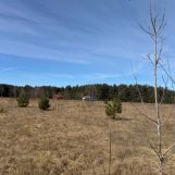 Działka budowlana Szwecja, ul. Podleśna