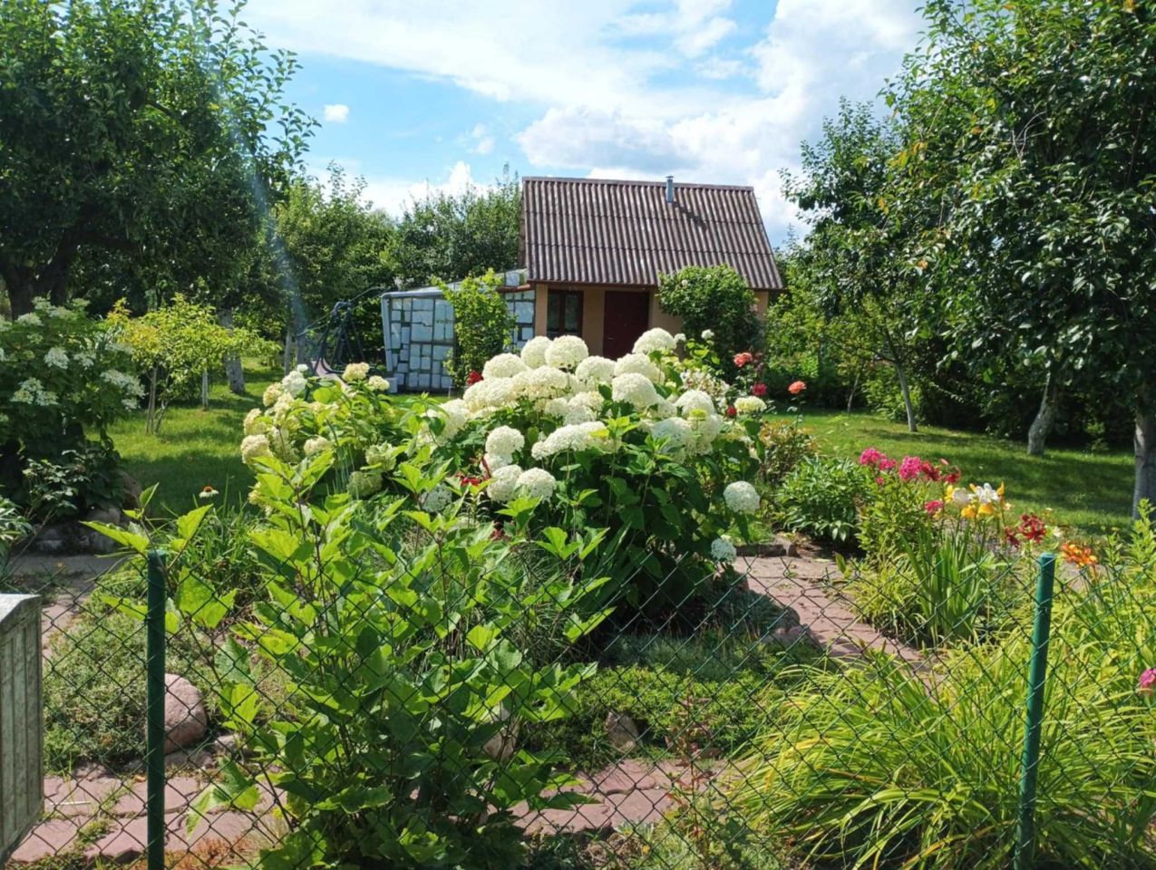 Działka rod Bełchatów, ul. Cegielniana. Zdjęcie 7