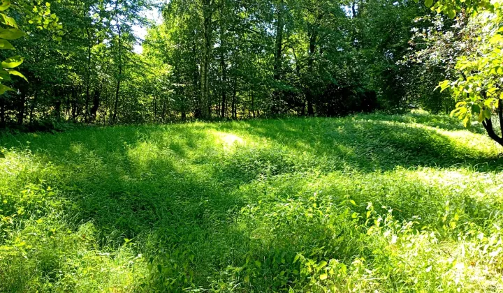 Działka budowlana Kolbuszowa Górna