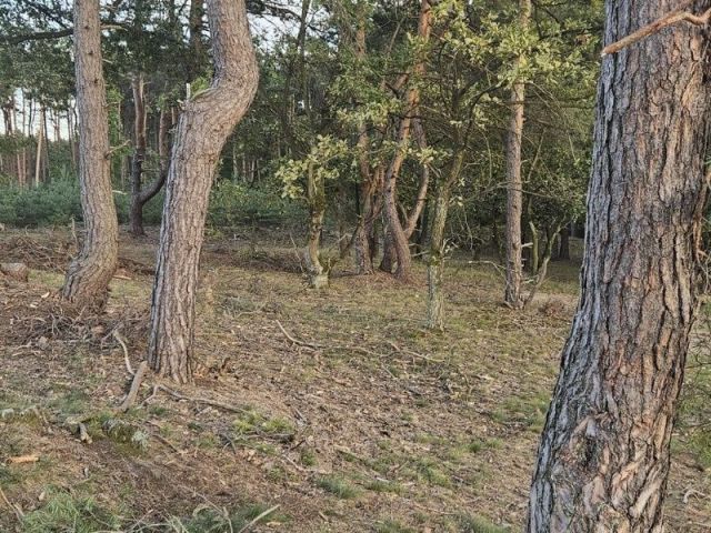 Działka budowlana Mielec, ul. Spokojna. Zdjęcie 1