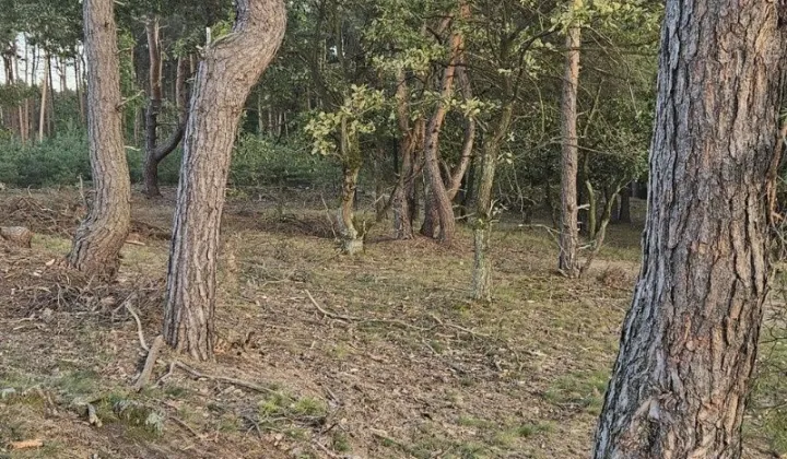 Działka budowlana Mielec, ul. Spokojna