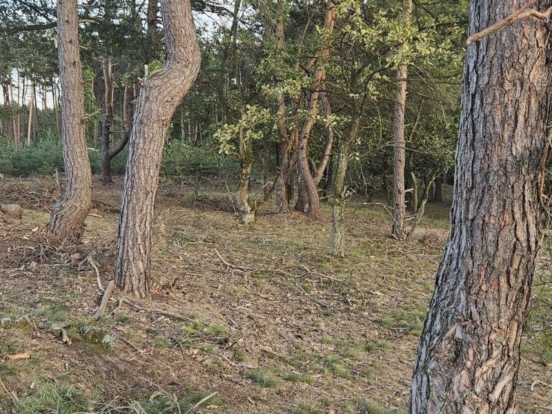 Działka budowlana Mielec, ul. Spokojna