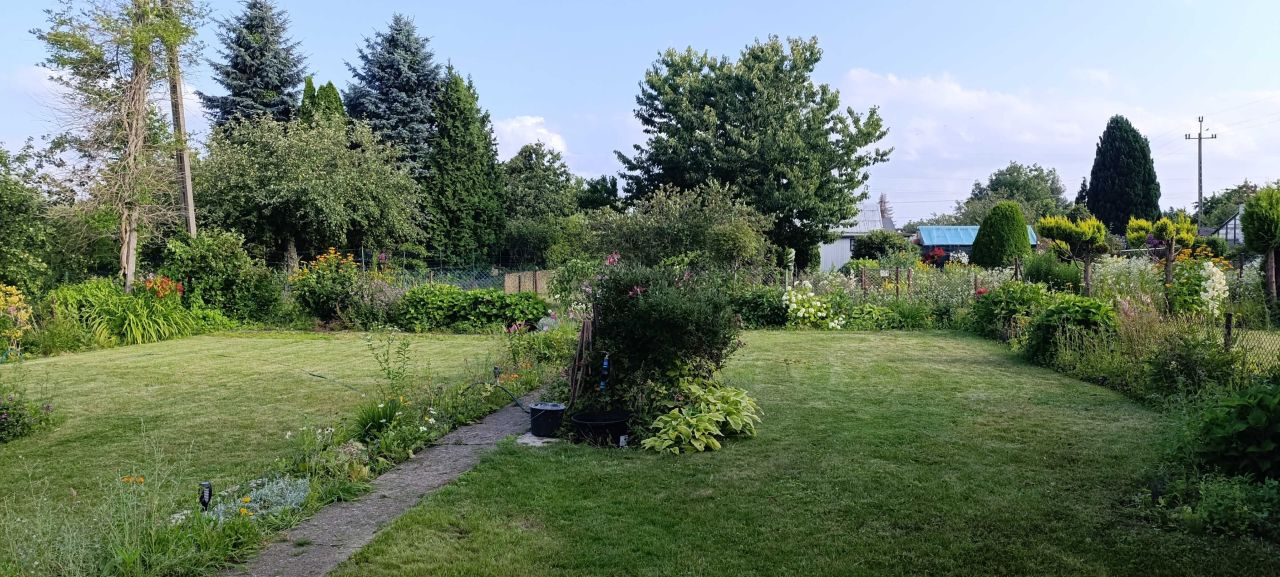 Działka rod Koszalin, ul. Działkowa. Zdjęcie 3