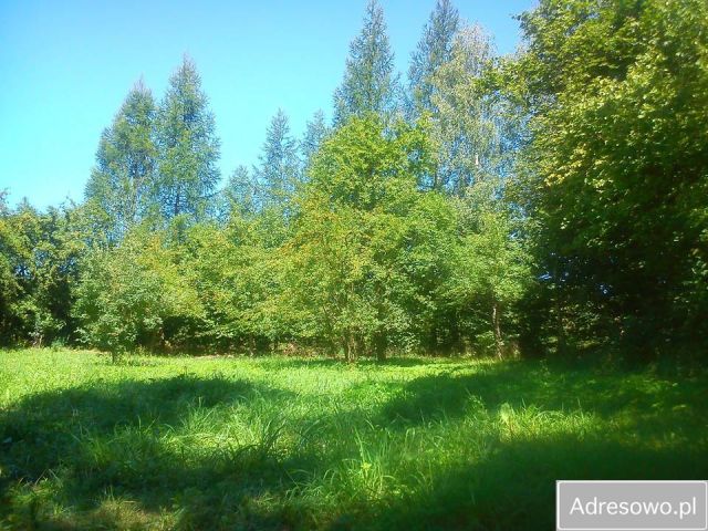 Działka rolna Falniów. Zdjęcie 1