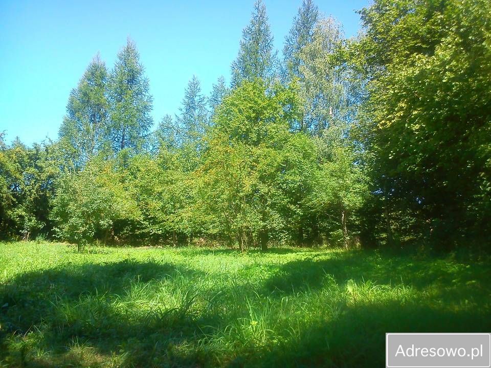 Działka rolna Falniów