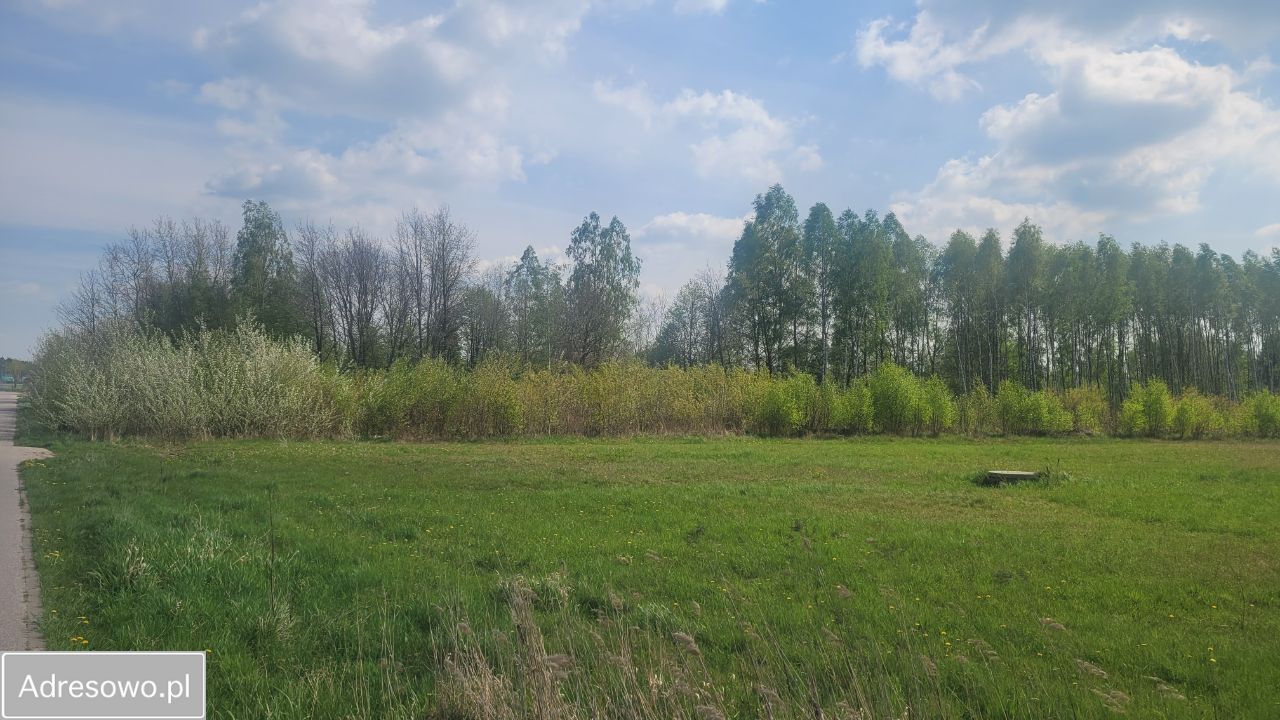 Działka inwestycyjna Dębe Wielkie. Zdjęcie 3