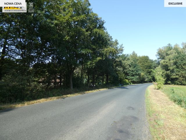 Działka inwestycyjna Tarnówko. Zdjęcie 3