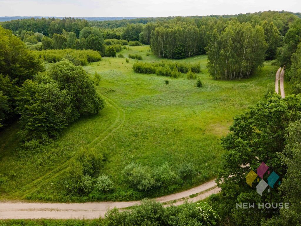 Działka siedliskowa Cerkiewnik. Zdjęcie 5
