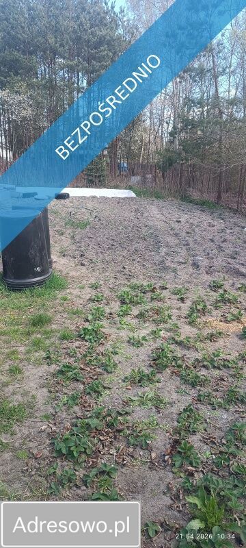 dom wolnostojący, 2 pokoje Ostrówek. Zdjęcie 7