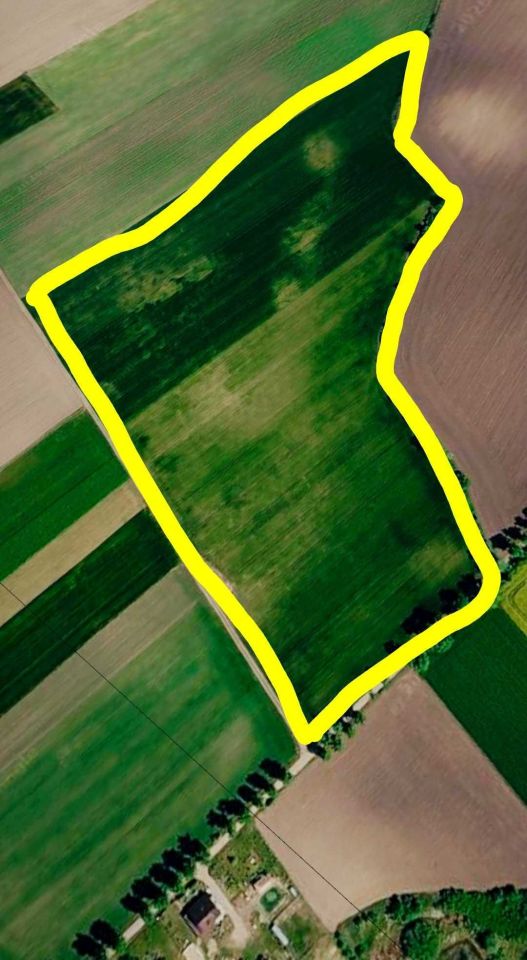 Działka Wychowaniec, bez pośrednika - 3,6 ha - 525 000 zł