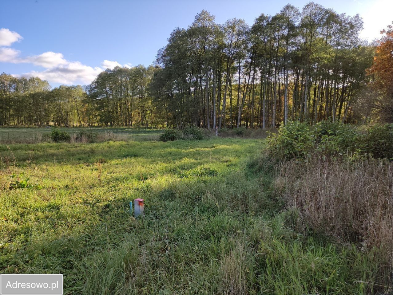 Działka rolno-budowlana Wiewiórowo. Zdjęcie 9