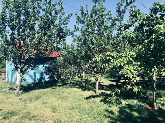 Działka rekreacyjna Gorzów Wielkopolski. Zdjęcie 1