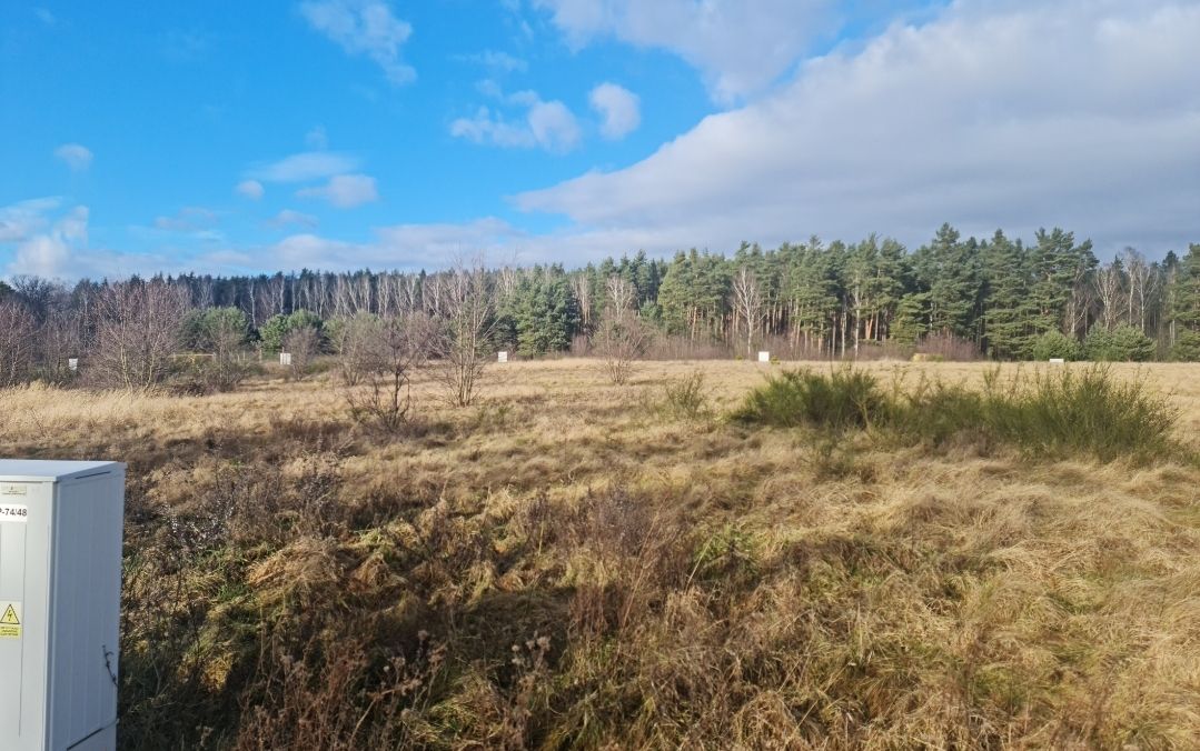 Działka budowlana Zimna Woda. Zdjęcie 13