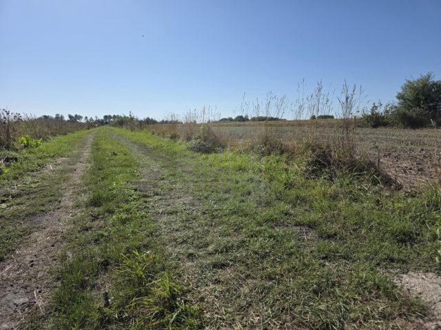 Działka budowlana Nowe Faszczyce. Zdjęcie 8