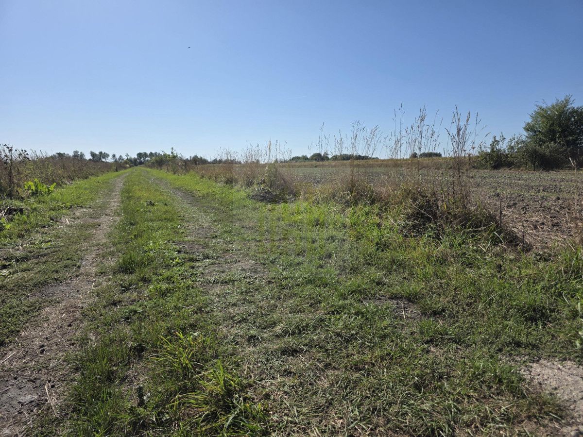 Działka budowlana Nowe Faszczyce. Zdjęcie 8