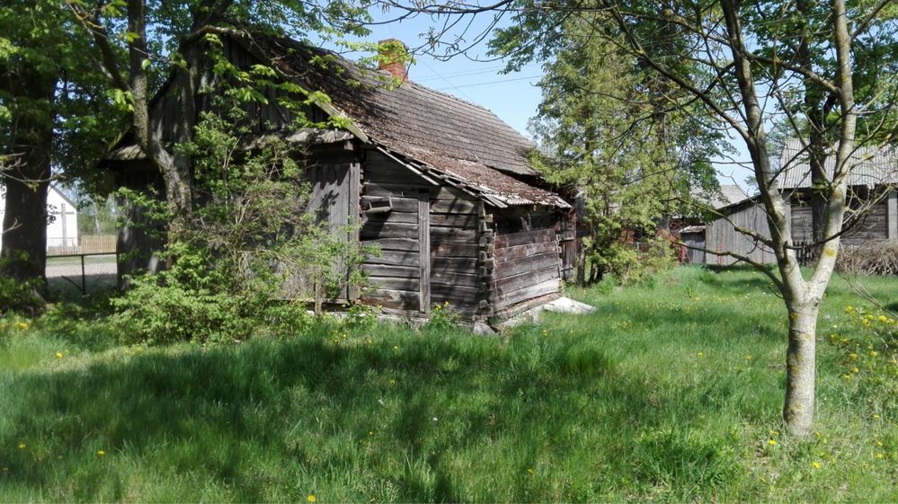 Działka siedliskowa Dołhobrody