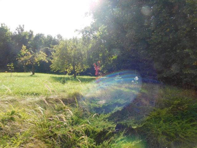 dom wolnostojący, 4 pokoje Młodzawy Małe. Zdjęcie 19