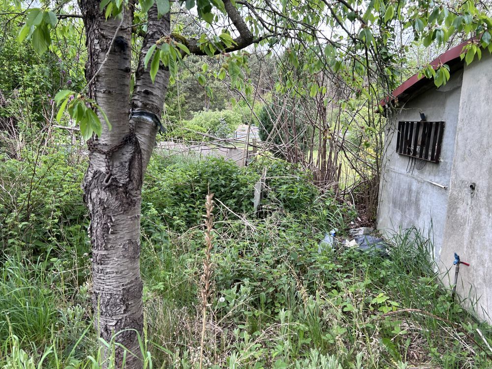 Działka rod Zielona Góra Ochla. Zdjęcie 7