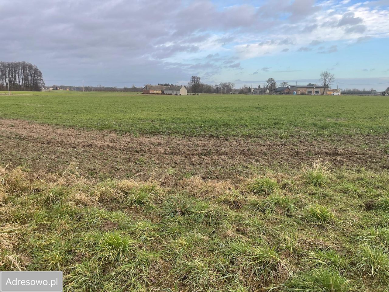 Działka budowlana Wierzbocice. Zdjęcie 9