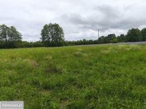 Działka budowlana Chrośna. Zdjęcie 4