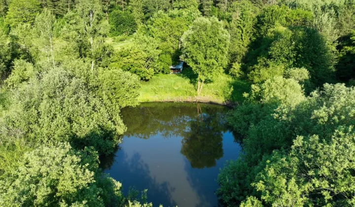 Działka siedliskowa Klonowo Dolne