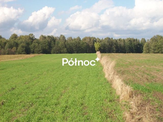 Działka rolna Janowicze. Zdjęcie 4