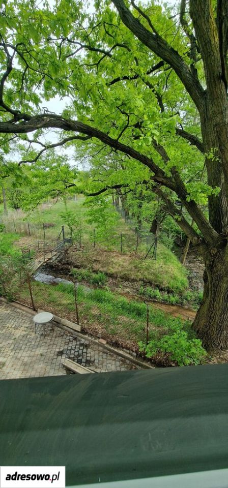 dom wolnostojący, 3 pokoje Grodzisk Mazowiecki, ul. Królewska. Zdjęcie 12