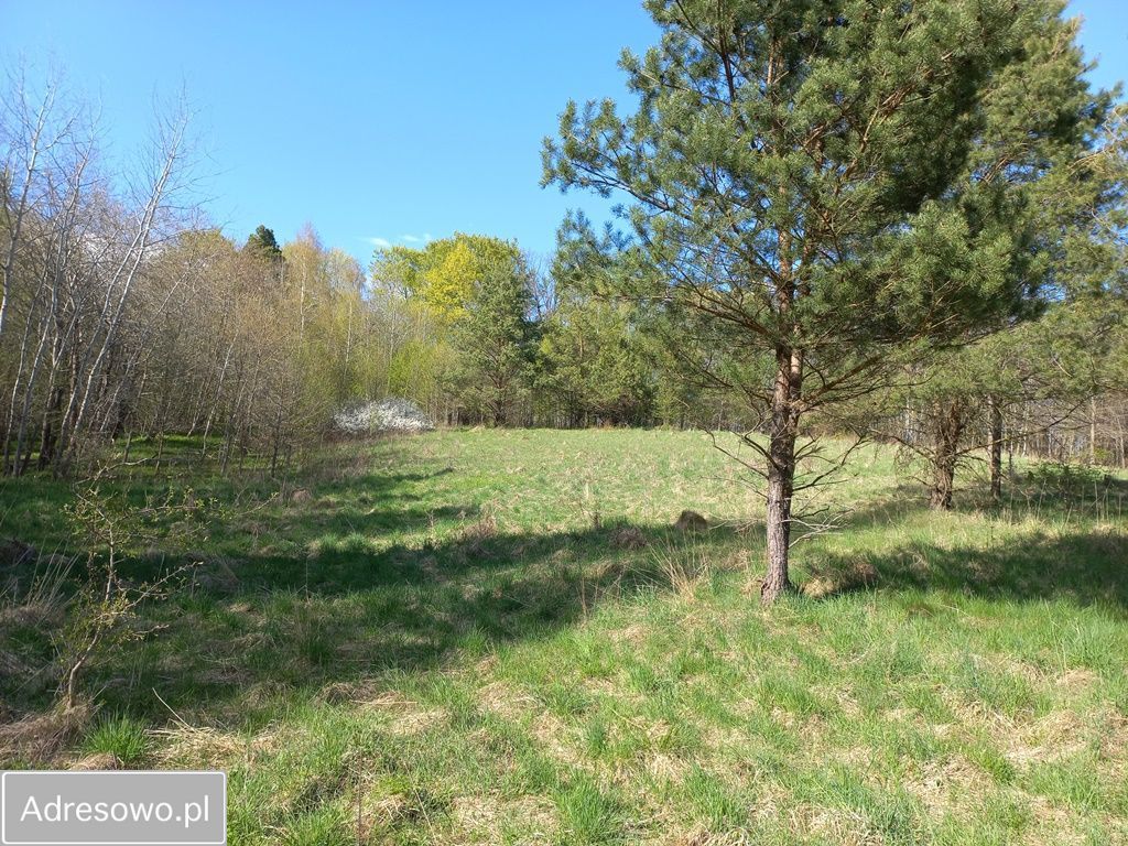 Działka rolna Niebrzydowo Wielkie. Zdjęcie 10