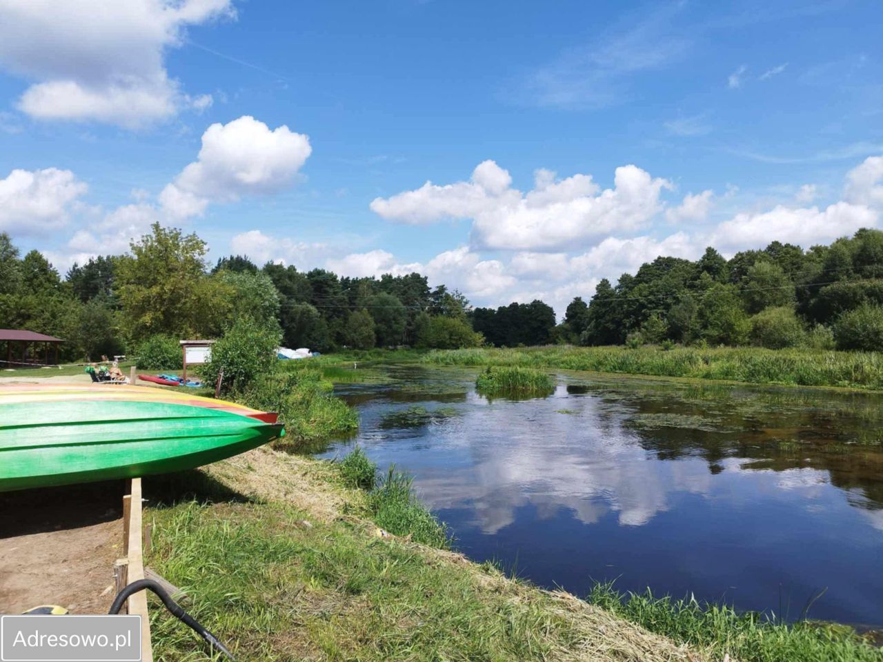 Działka rolna Joniec-Kolonia. Zdjęcie 6