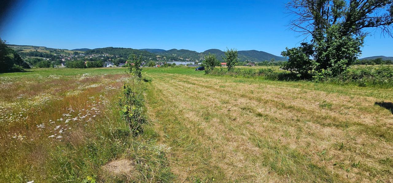 Działka rolno-budowlana Podłopień. Zdjęcie 8