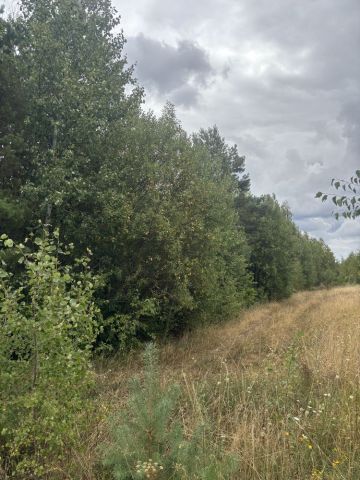 Działka budowlana Wola Łagowska. Zdjęcie 1