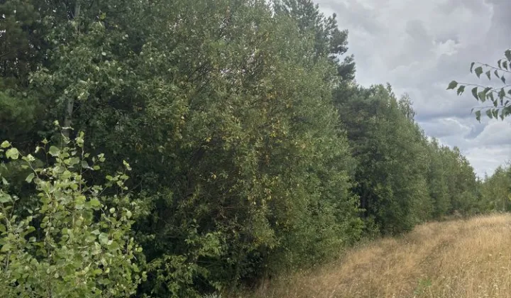 Działka budowlana Wola Łagowska