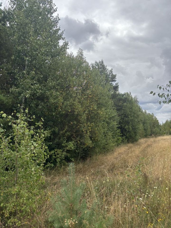 Działka budowlana Wola Łagowska