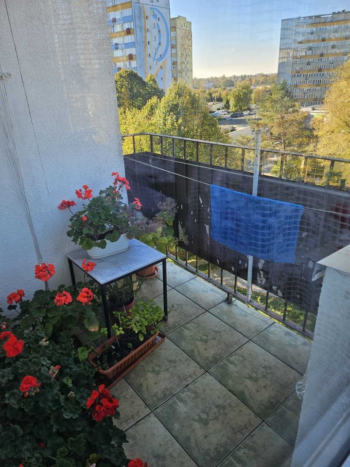 Mieszkanie 2-pokojowe Koszalin Północ, ul. Bałtycka. Zdjęcie 7