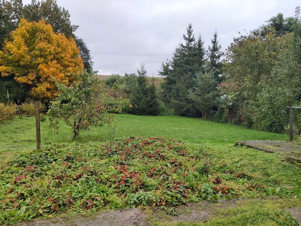 Działka rekreacyjna Plenowo. Zdjęcie 3