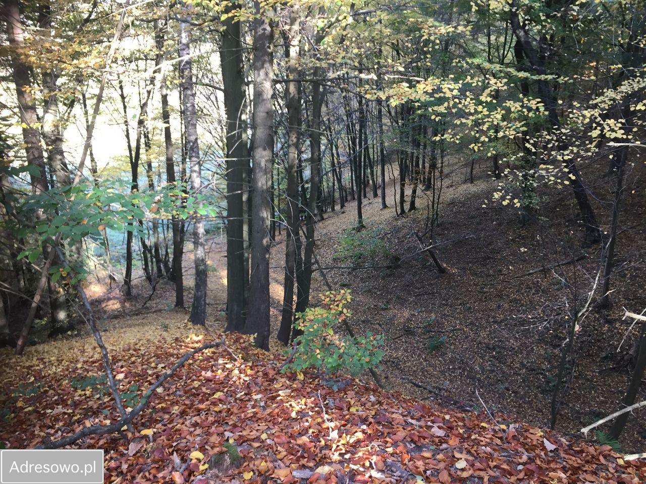 Działka budowlana Spręcowo. Zdjęcie 3