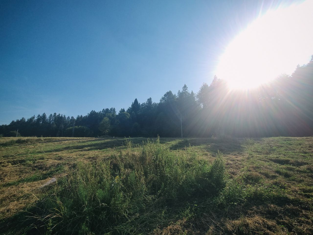 Działka budowlana Jeleśnia, ul. Sosnowa. Zdjęcie 2