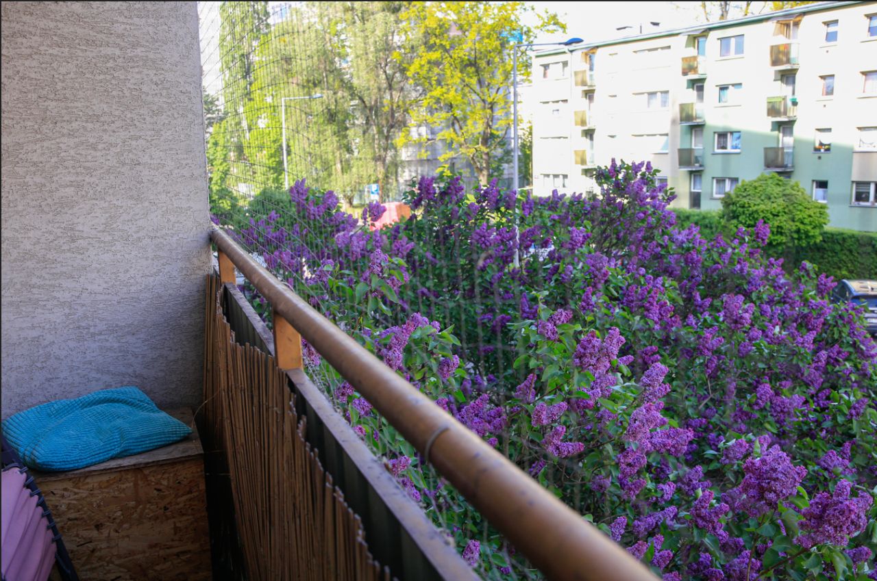 Mieszkanie 2-pokojowe Warszawa Wola, ul. Erazma Ciołka. Zdjęcie 12