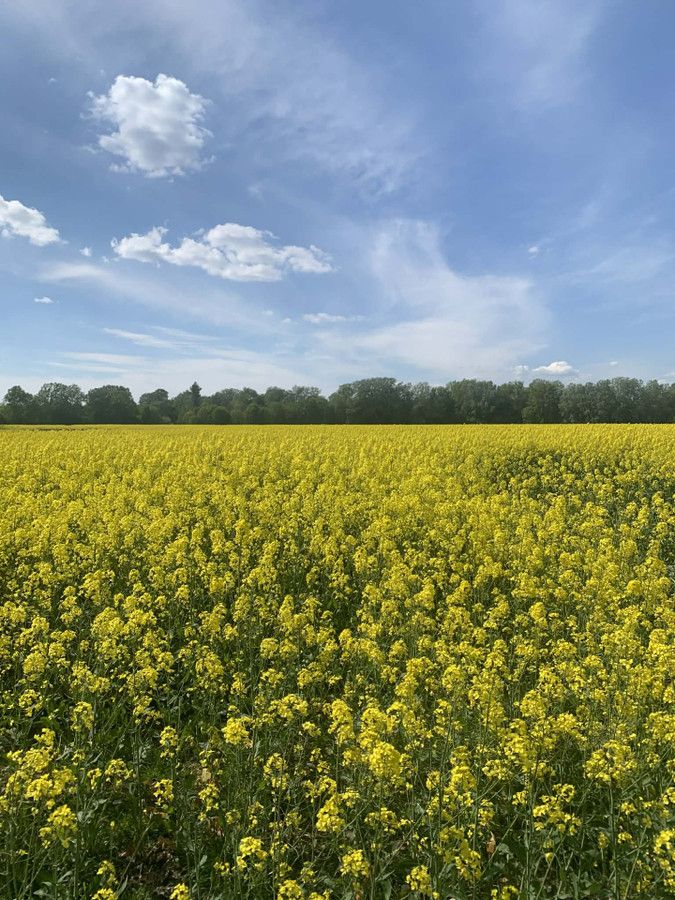 Mieszkanie 2-pokojowe Warszawa Wilanów, ul. Bruzdowa. Zdjęcie 30