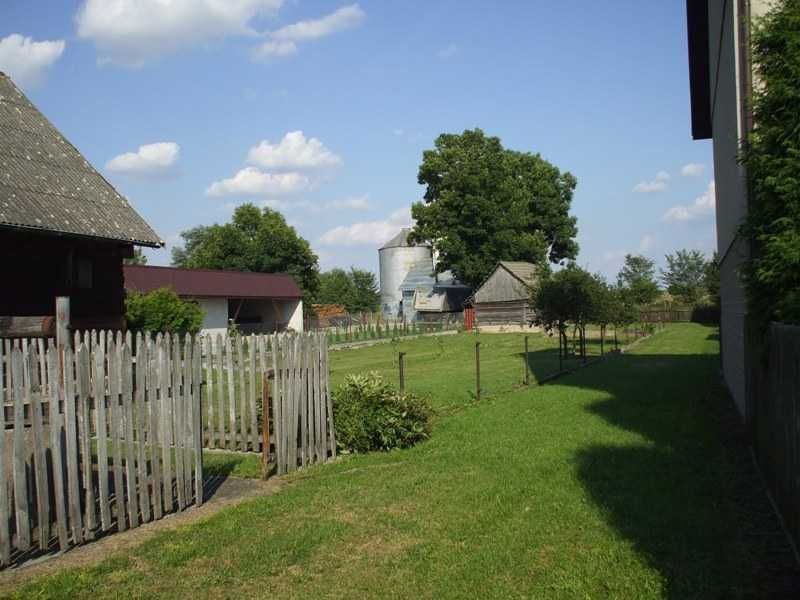 siedlisko Orla. Zdjęcie 2