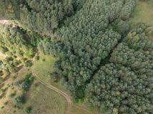 Działka rolna Obrzycko. Zdjęcie 4