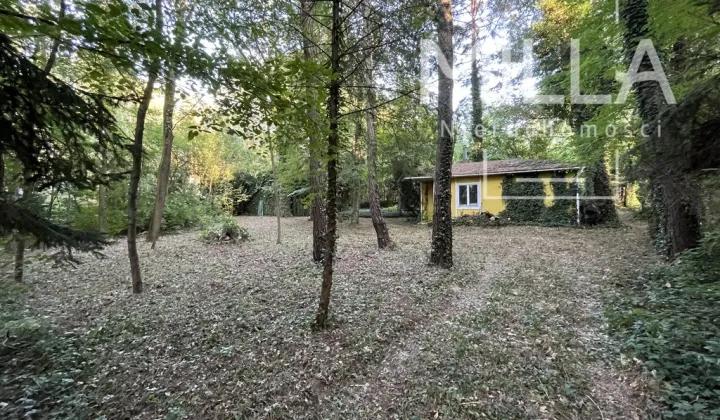 Działka budowlana Sokolniki-Las