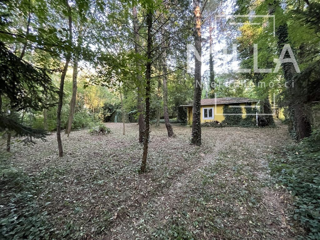 Działka budowlana Sokolniki-Las. Zdjęcie 1