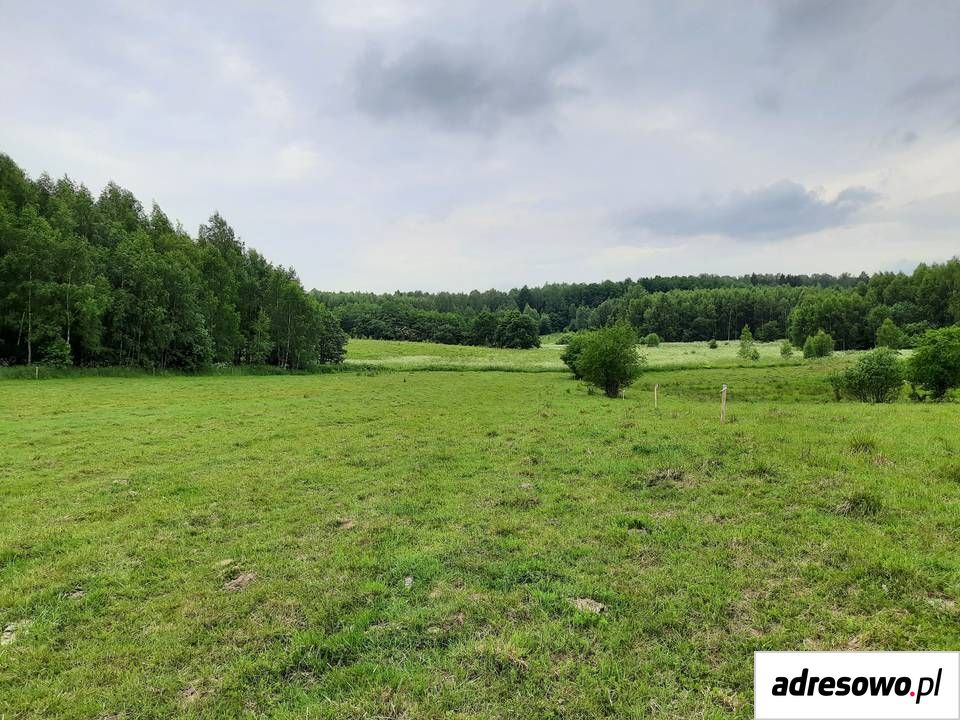 Działka rolna Krekole. Zdjęcie 2
