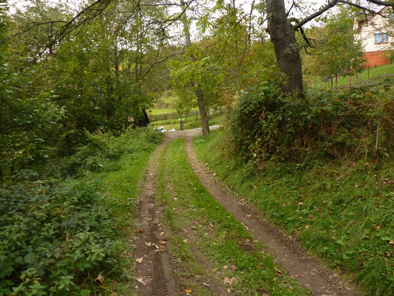 Działka rolna Pewel Wielka Garleje. Zdjęcie 33