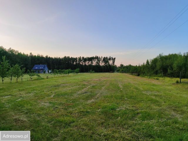 Działka budowlana Henryków. Zdjęcie 1