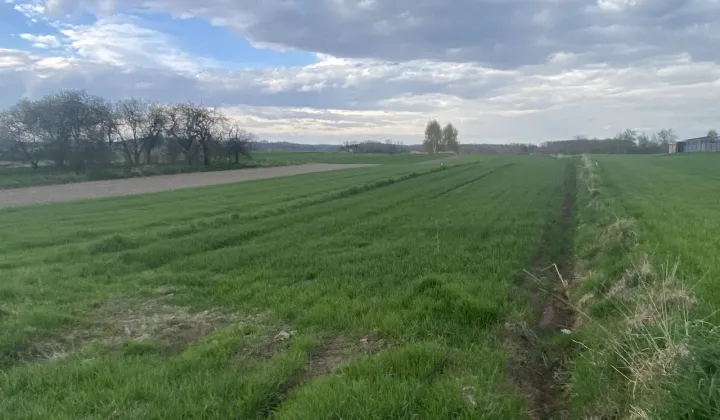 Działka rolno-budowlana Cholerzyn