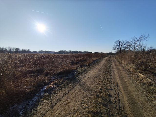 Działka rolna Karczyce. Zdjęcie 4