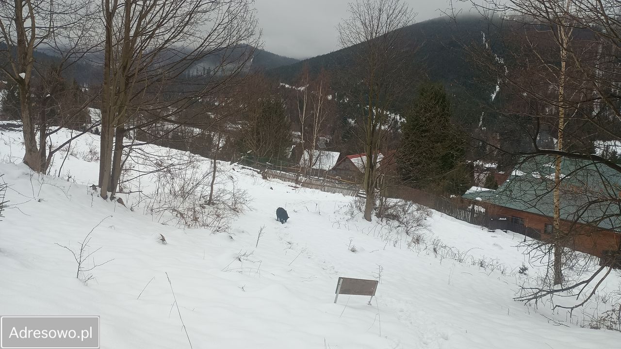 Działka rolna Złatna. Zdjęcie 2