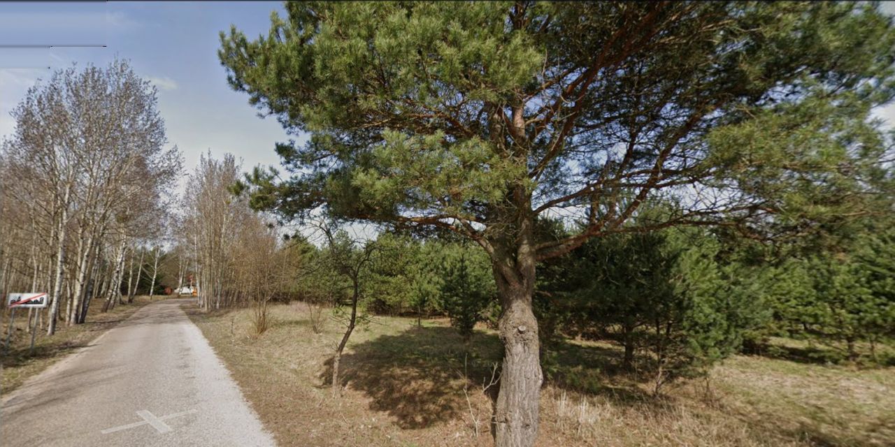 Działka rolno-budowlana Pilchy. Zdjęcie 2
